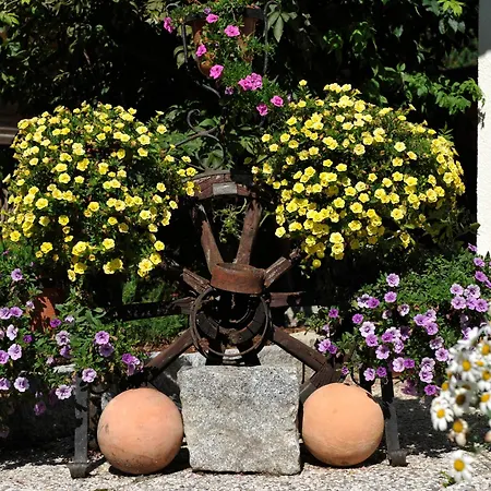 Haus Maria بيت ضيافة باد كلينكيرشهايم