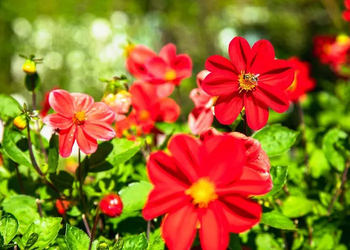 Haus Maria 3* Bad Kleinkirchheim